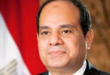 الرئيس عبدالفتاح السيسى