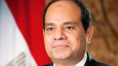 الرئيس عبدالفتاح السيسى